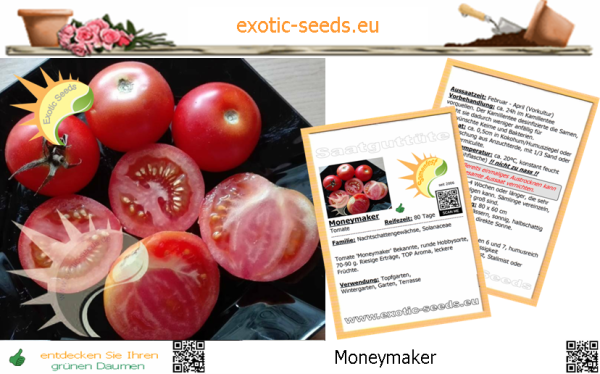 Tomate * Moneymaker * 20 Samen